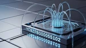 What Is ycbzpb00005102?